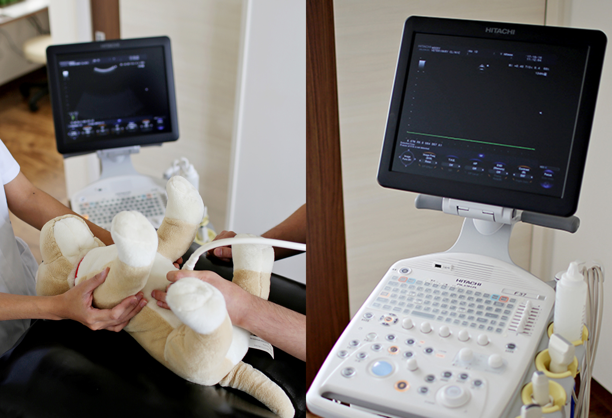 【超音波診断装置（エコー）】<br />
内臓や心臓の内部詳細まで診ることで、より正確な診断ができるようになります。